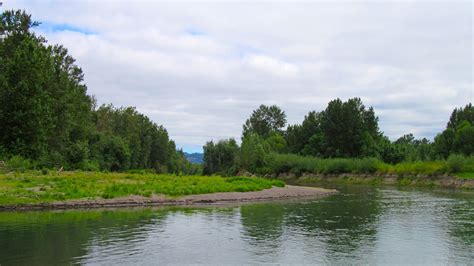 Sandy River Delta (U.S. National Park Service)