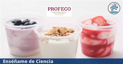 Las Peores Marcas De Yogurt No Son Recomendadas Por Profeco Por