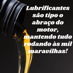 Leo Lubrificante De Motor Total Quartz W Ineo First L Cordeiro