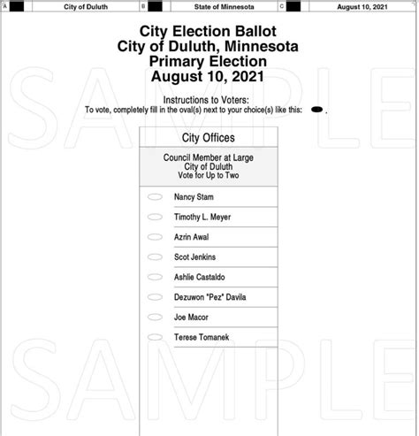 Duluth 2021 Primary Election Sample Ballot Perfect Duluth Day