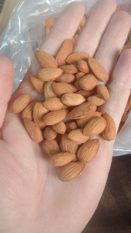 Almonds At Rs Kg In Srinagar Id Ammeaz Cafe Medic