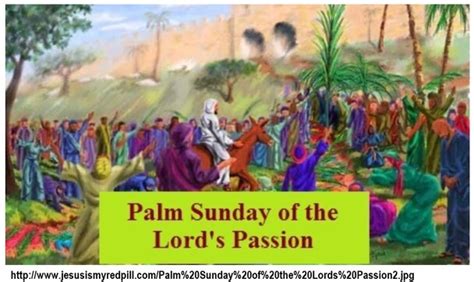 Mar. 25, 2018 - Passion (Palm) Sunday - Reflections by Bob