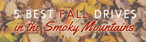 Best Fall Drives In The Smokies Pigeonforge