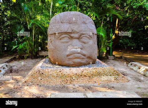 Cabeza De Piedra Olmeca Gigante Fotograf As E Im Genes De Alta