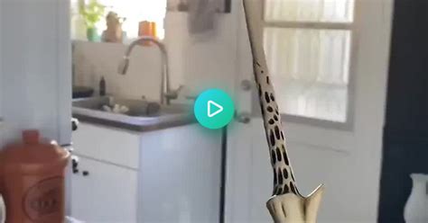 This Harry Potter Wand That Shoots Fire  On Imgur