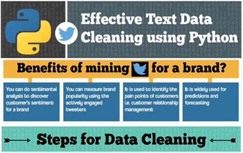 Infographic Cleaning Text Data Python