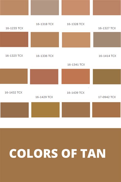 100 Shades Of Tan Color Names Hex Rgb Cmyk Codes 50 Off