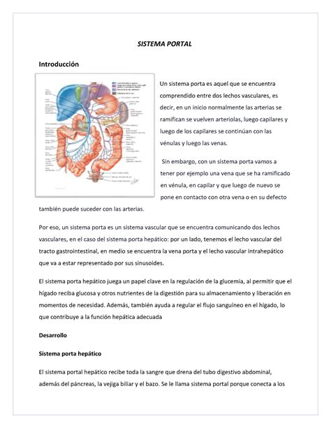 Anatomía II Ensayo DE Segundo Parcial Sistema Portal SISTEMA PORTAL