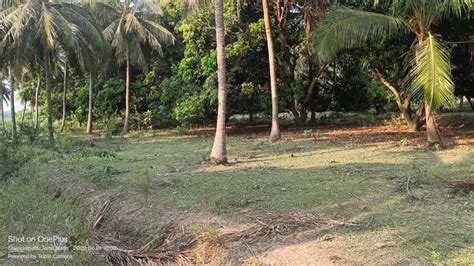 Agricultural Land Sq Ft For Sale In Madhurandagam Chennai