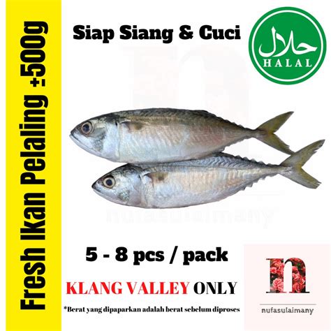 Ikan Pelaling Segar 500g Klang Valley Only Berat Sebelum Proses