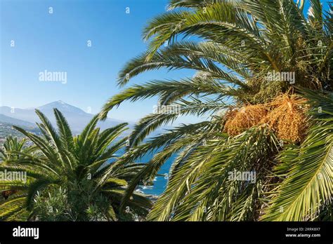 Parque Los Lavaderos Hi Res Stock Photography And Images Alamy
