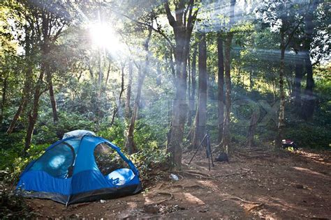 Camping Zelten Im Wald Stock Bild Colourbox