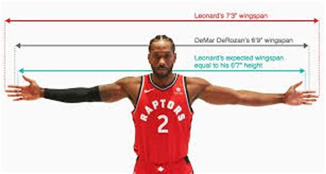 Rajon Rondo Wingspan