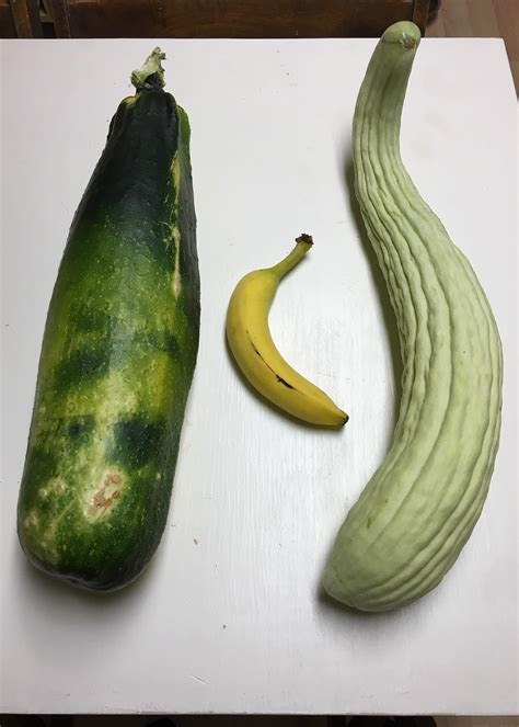 Compost The True Miracle Grow Rgardening