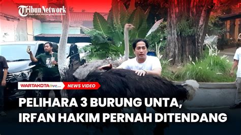 Pelihara Burung Unta Irfan Hakim Akui Pernah Sampai Ditendang Youtube