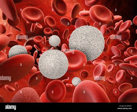 D Rendering White Blood Cells With Red Blood Cells Stock Photo Alamy