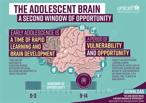 Unicef Infographic Design The Adolescent Brain Behance