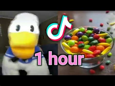 Hour Donald Ducc Tiktok Compilation Best Donald Ducc Tiktok