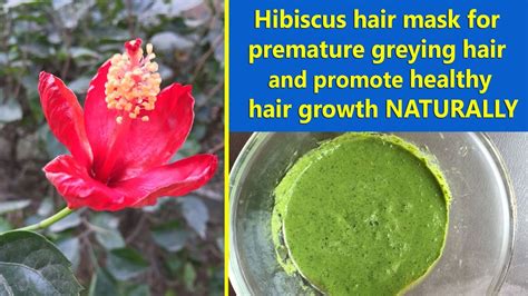 Hibiscus Hair Mask For Premature Greying Hair And Promote Healthy Hair Growth Naturally Youtube