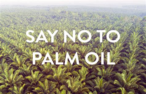 Why Palm Oil Is Bad Panna Soaps Blog