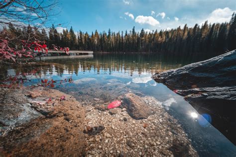 Contact — Columbia Outdoor School And Blue Lake Camp