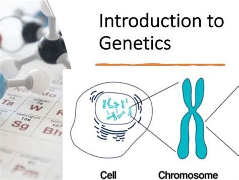 Introduction To Genetics Teaching Resources