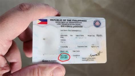 Your Clear Guide To Lto Driver S License Or Dl Codes Yugaauto