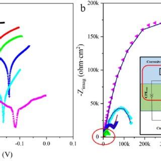 A Tafel Curves Of Different Coatings In 3 5 Wt NaCl Solution B