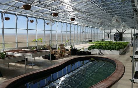 7 Tips For Aquaponics Greenhouse Design Greenhouse Aquaponics Tips