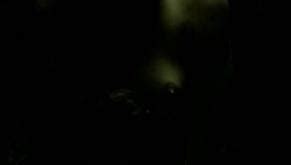 PANGAROOV NUDE SCENES AZNude