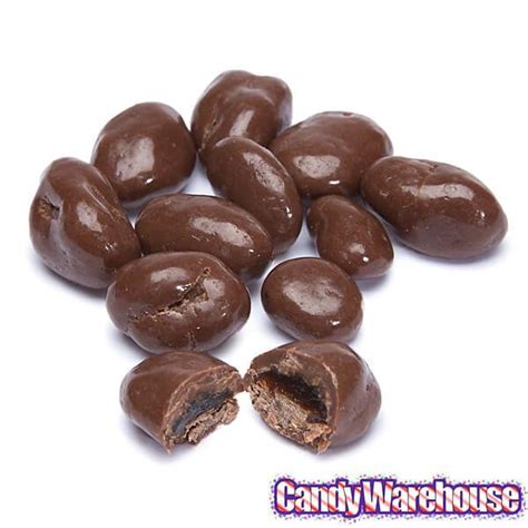 Raisinets Milk Chocolate Raisins Candy Fun Size Packs: 15-Piece Bag – Candy Warehouse