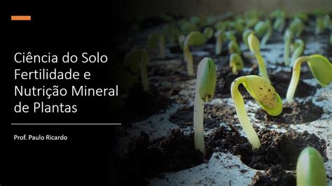 Ci Ncia Do Solo Fertilidade Do Solo E Nutri O Mineral De