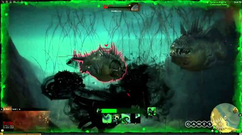 Guild Wars 2 Underwater Combat Gameplay PC YouTube