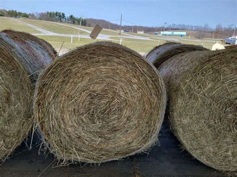 Round Bale St Alfalfa Grass Mix X Rogers Community Auction Inc