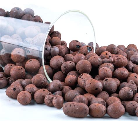 Amazon Lbs Leca Balls Clay Pebbles For Plants Mm Mm Expanded