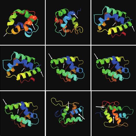 Eight Cysteine Motifs 8cm Spacing Patterns For The Different Types Of Download Scientific