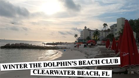 Winter The Dolphin Beach Club Hotel A Delightful Stay On Clearwater