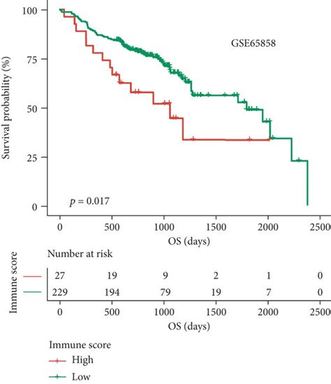 Effect Of Immune Infiltration On The Prognosis Of Hnscc Patients A