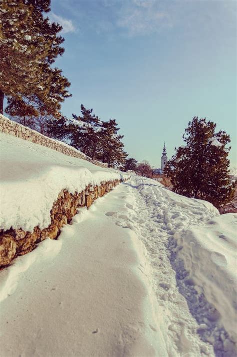 Trilhas Na Neve Foto De Stock Imagem De Limpo Trilha