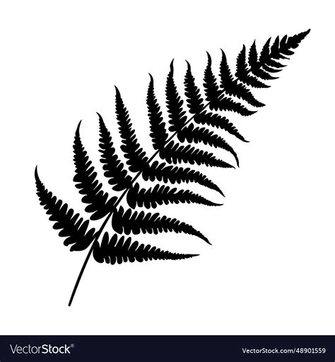 Fern leaf silhouette Royalty Free Vector Image