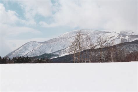 Location — Koa Niseko