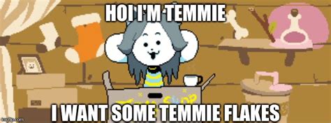 Hoi Temmie Flakes Imgflip