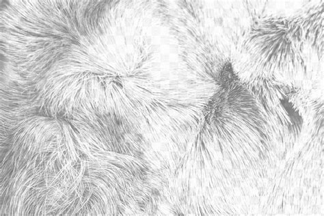 Animal Fur Png Overlay Texture Free Png Rawpixel