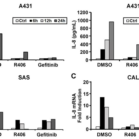 Syk Mediates Egf Induced Il 8 Mrna And Protein Expression In Scc Egf