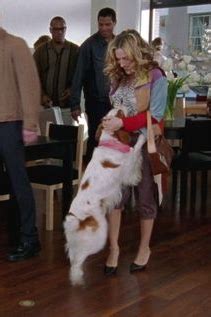 Sarah Jessica Parker Sex And The City Episode 3C5 No Ifs Ands Or Butts July 9 2000 Star Style