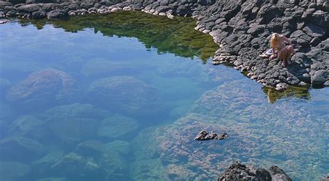 A Bigger Splash Nude Pics Page