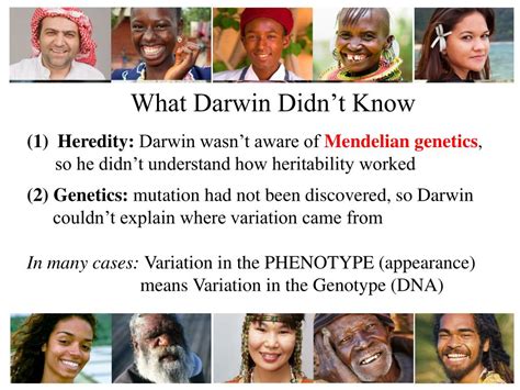 Ppt Today Genetic Variability Mutations Source Of Variation In