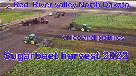 Sugarbeet Harvest 2022 North Dakota Video And Pics YouTube