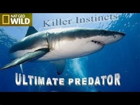 Nat Geo Wild Ultimate Predator Killer Instincts Full Documentary