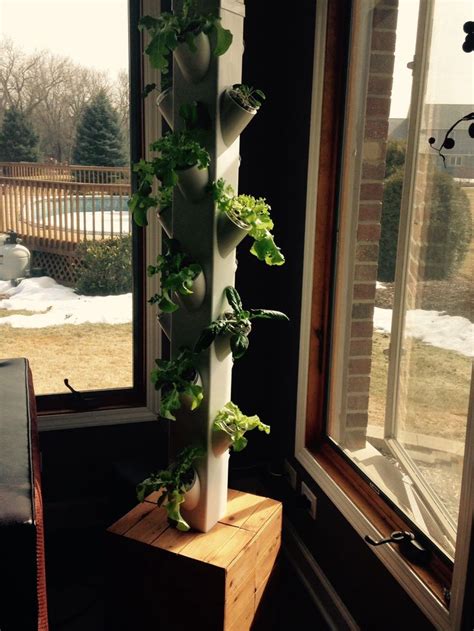 Diy Hydroponic Lettuce Tower We Did This Hydroponic Gardening Home